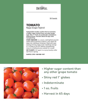 Burpee Napa Grape seeds indoors sowing tips panel supporting early growth.