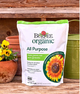 Burpee Natural Purpose granular works indoors and outdoors, keeping houseplants healthy.