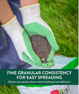 Burpee Natural Purpose granular supports a thriving vegetable garden with balanced nutrients.