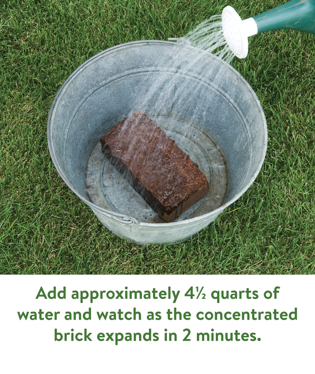 Burpee organic coconut coir retains moisture for seedlings.