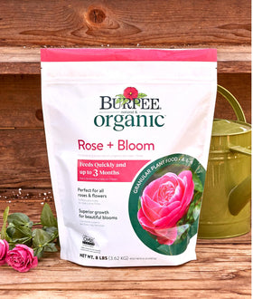 Bed and border plantings benefiting from Burpee Rose Bloom nutrients.