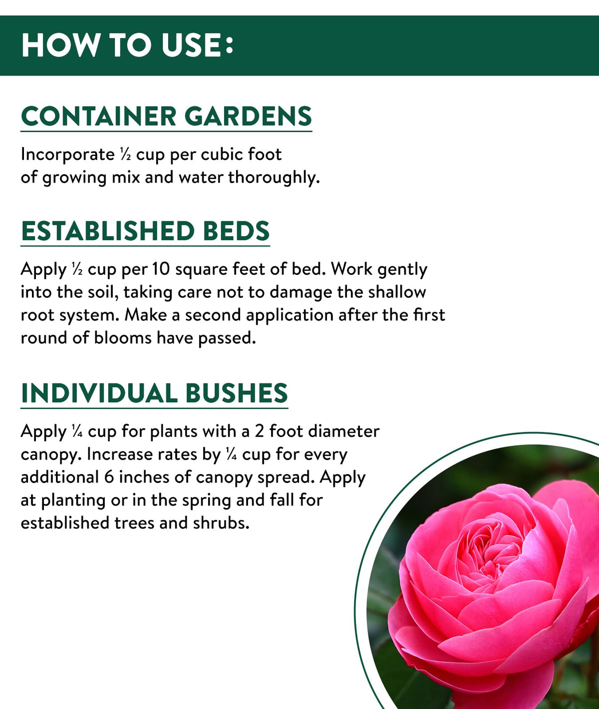 Container garden ready with Burpee Rose Bloom granular formula for thriving potted roses.