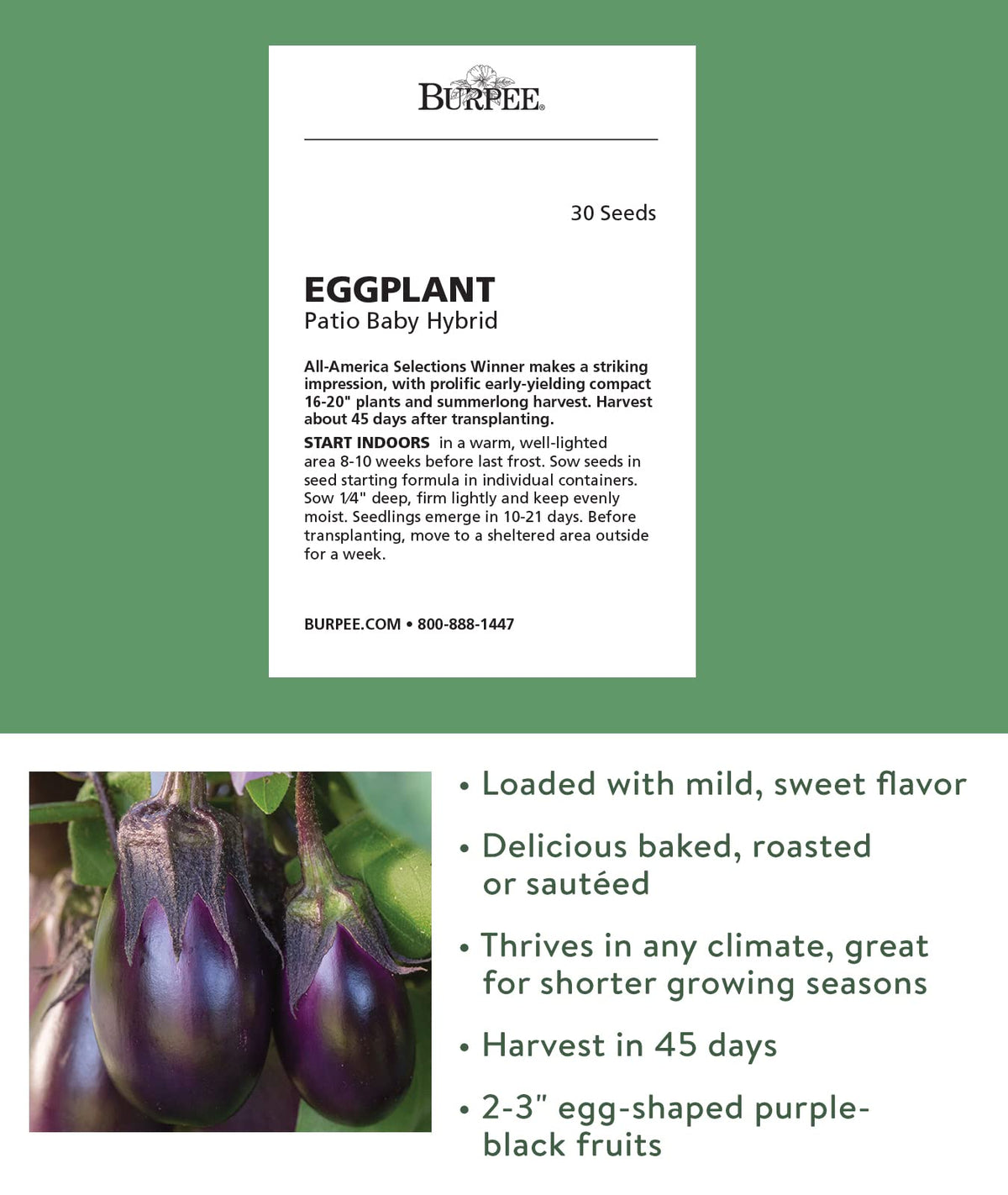 Burpee Patio Baby Eggplant container gardening setup for limited spaces.