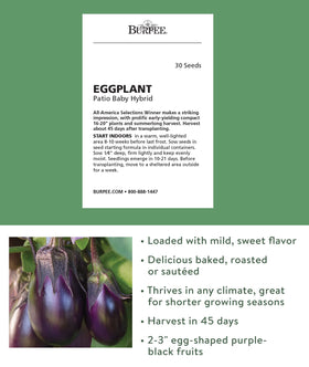 Burpee Patio Baby Eggplant container gardening setup for limited spaces.