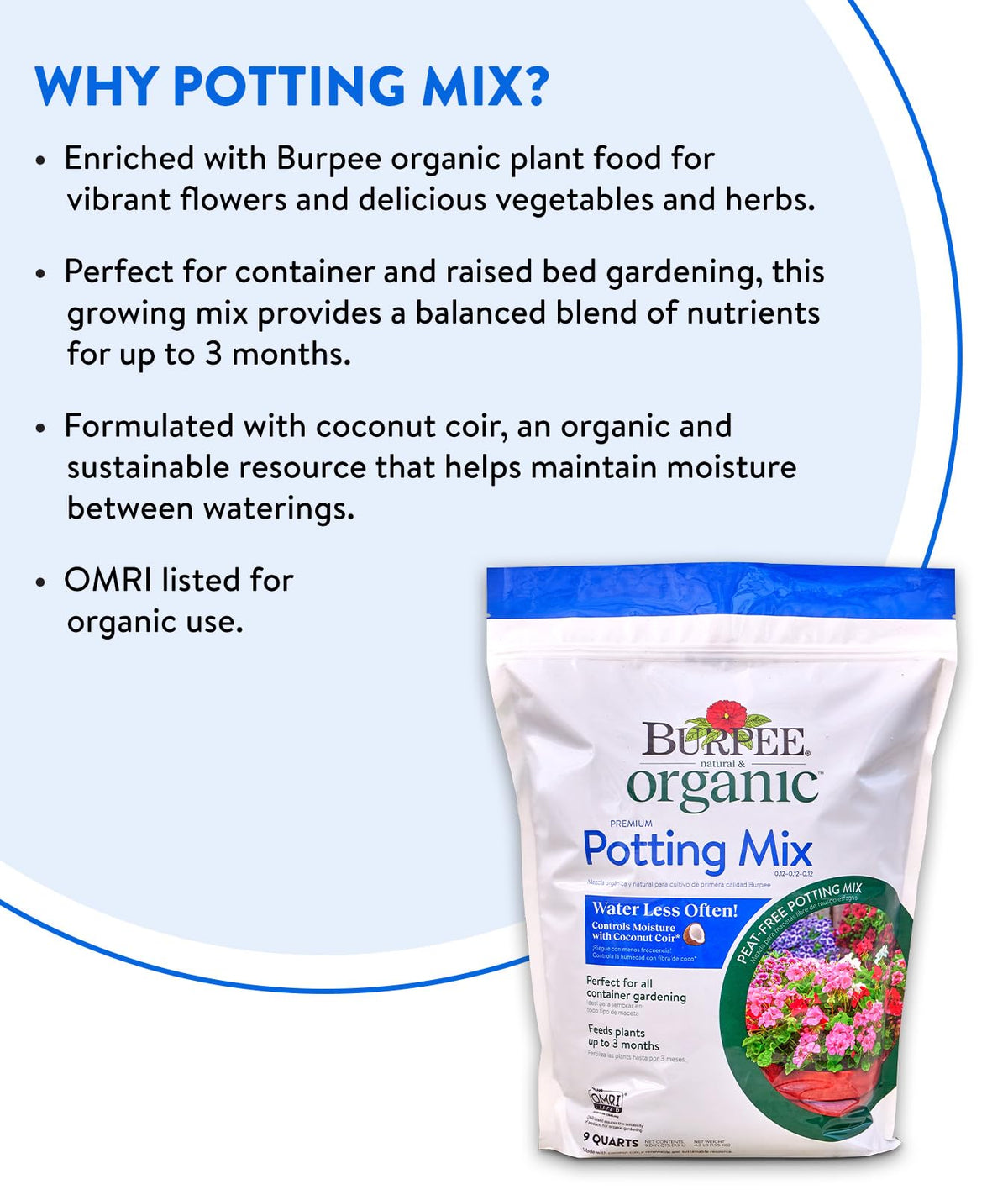 Burpee potting mix moisture retention in container setup promotes healthy roots.