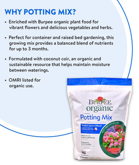 Burpee potting mix moisture retention in container setup promotes healthy roots.