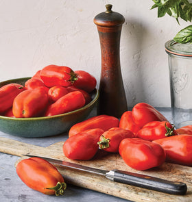Burpee San Marzano indeterminate vines thriving through a summer season.