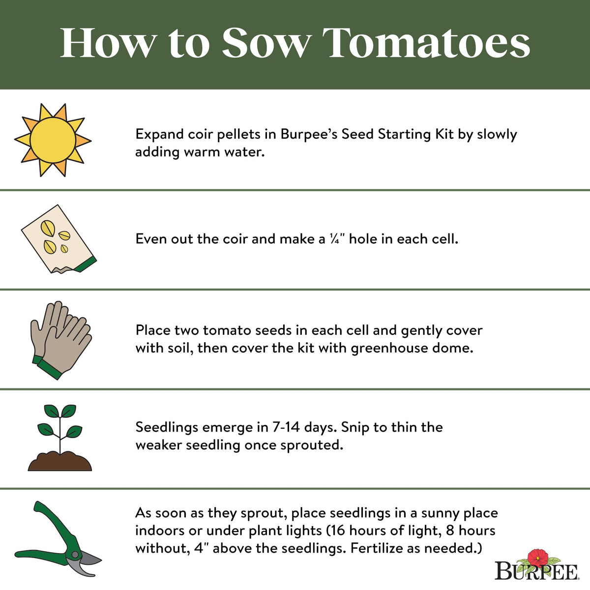 Burpee San Marzano non-GMO seeds promoting reliable germination and harvest.