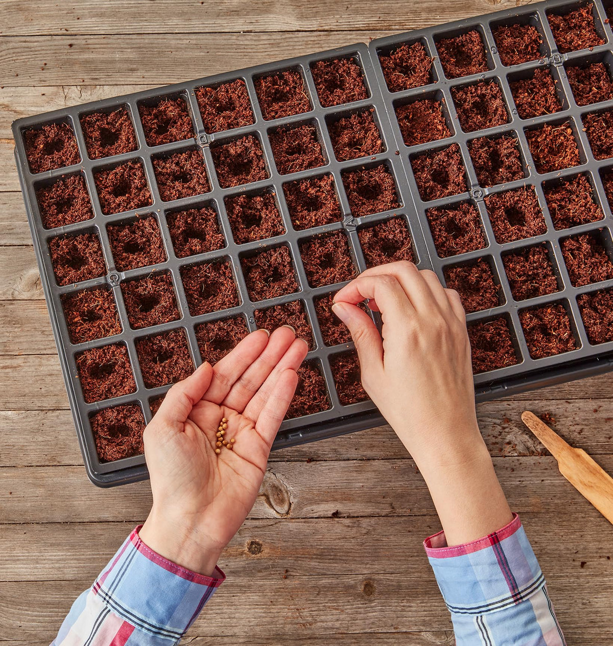 Burpee self-watering mat helps maintain consistent moisture for healthy seedlings.