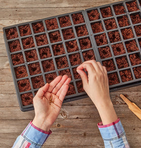 Burpee self-watering mat helps maintain consistent moisture for healthy seedlings.