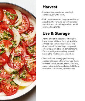 Burpee SteakHouse Hybrid slices elevate burgers and summer salads.