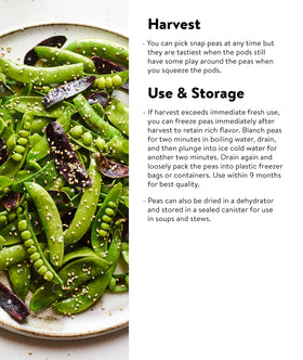 Burpee Sugar Snap Peas in a stir fry for quick weeknight meals.