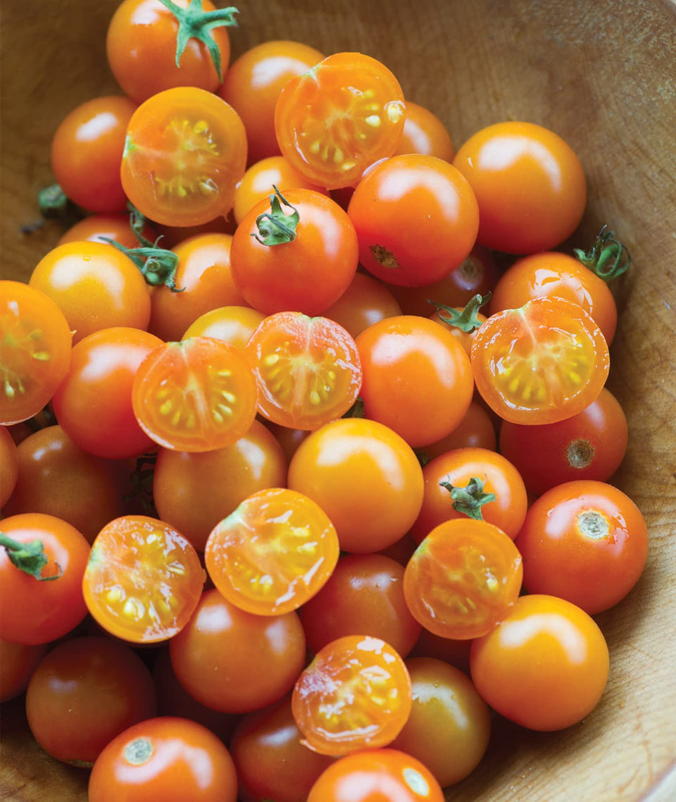 Burpee Sun Gold seed packet closeup for easy home gardening.