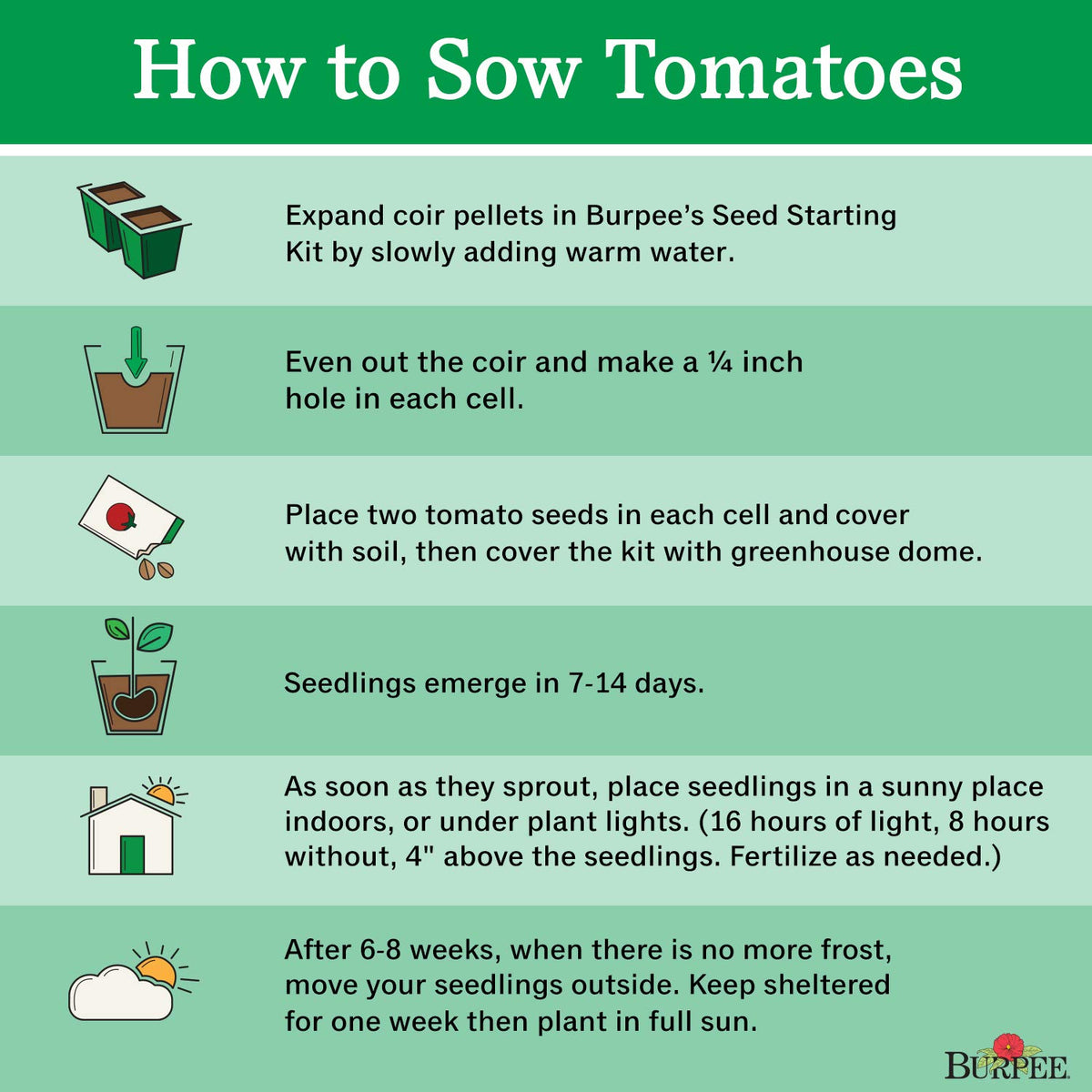 Burpee Sunny Boy guide helps gardeners achieve robust summer yields.