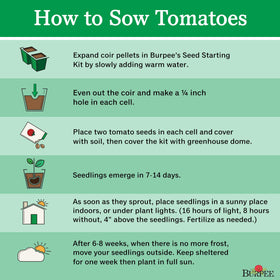 Burpee Sunny Boy guide helps gardeners achieve robust summer yields.