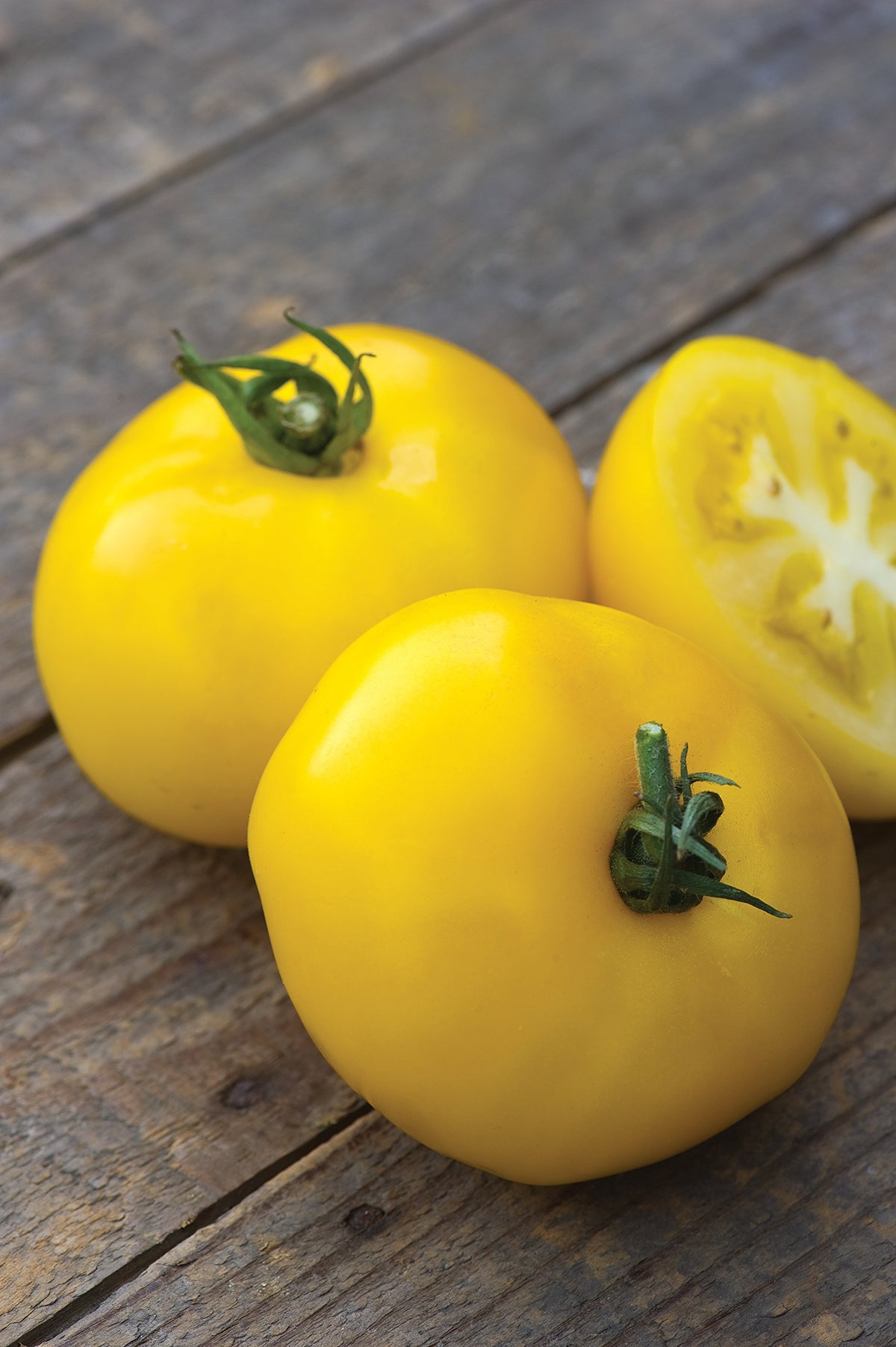 Burpee Sunny Boy harvest-ready tomatoes add sunny color to salads.
