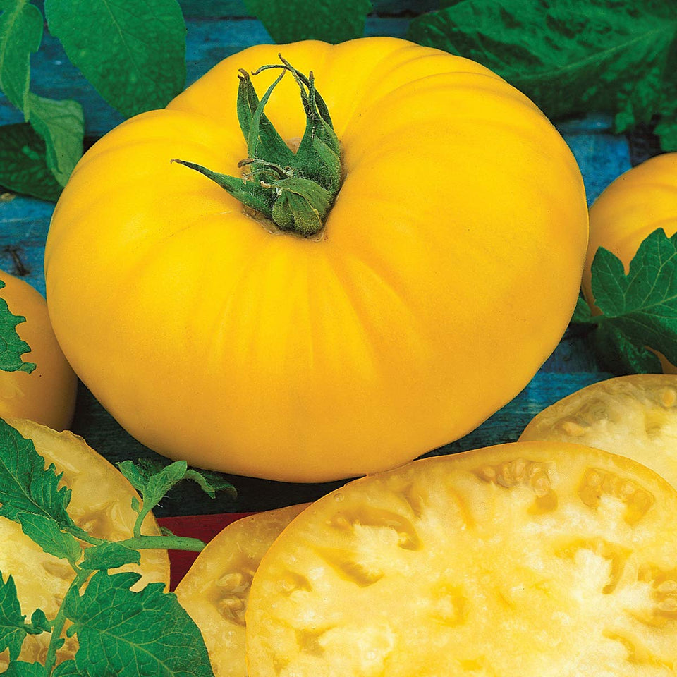 Burpee Sunny Boy seed packet close-up shows non-GMO seeds for reliable home gardening.