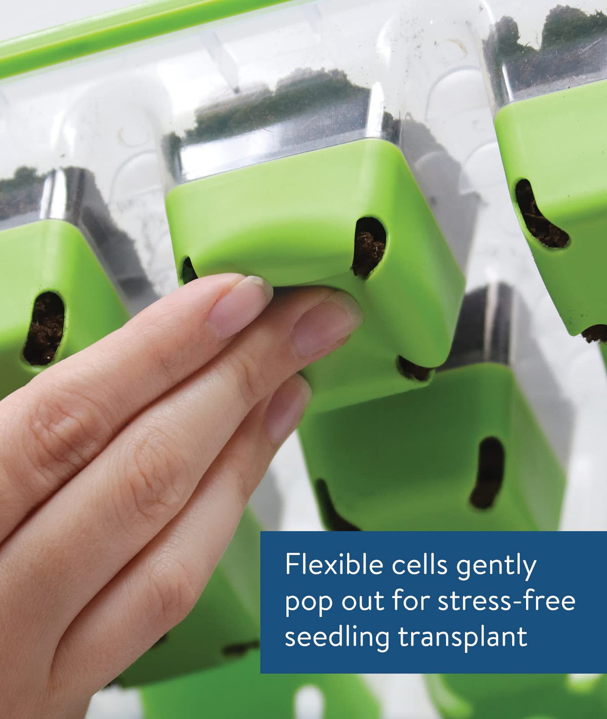 Burpee SuperSeed flexible silicone cells cradle seedlings gently
