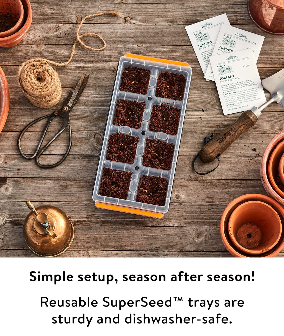 Burpee SuperSeed pop-out cells ease transplanting with minimal root disturbance.