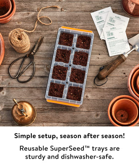Burpee SuperSeed pop-out cells ease transplanting with minimal root disturbance.