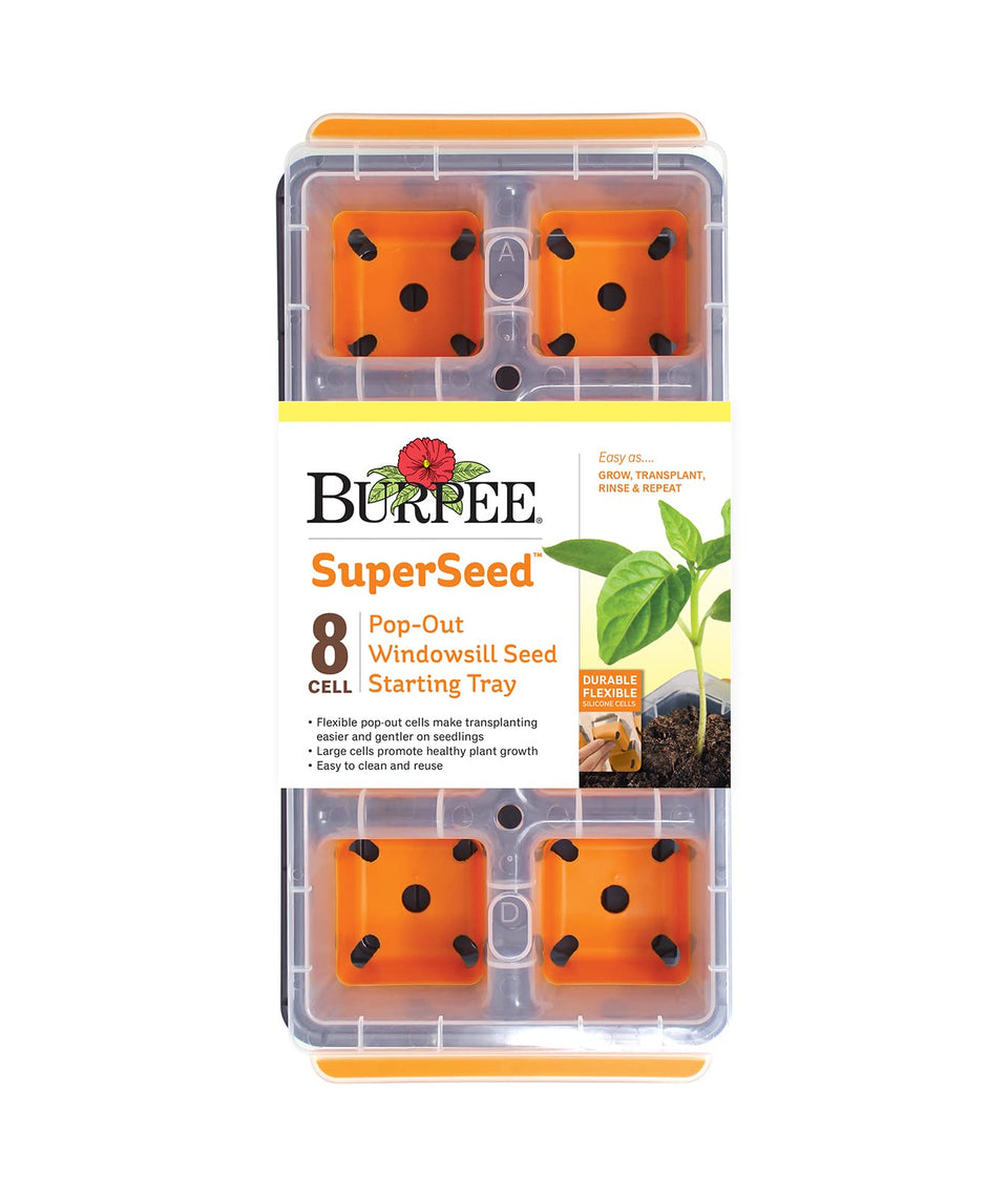 Burpee SuperSeed windowsill seed tray with 8XL cells for efficient seed starting indoors.