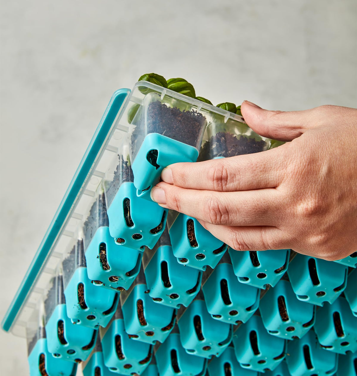 Burpee SuperSeed tray side handles simplify lifting and daily checks.