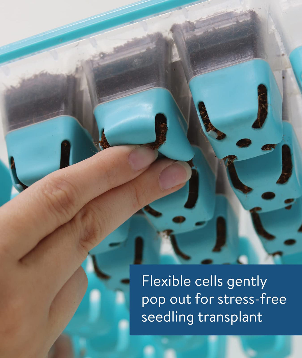Burpee SuperSeed tray shows soft silicone cells cradling seedlings.