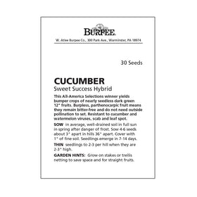 Burpee Sweet Success parthenocarpic cucumber seeds for pollination-free fruit set.