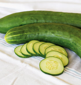 Burpee Sweet Success cucumber seeds showing 12-inch fruits in sun.