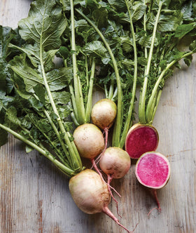 Burpee Watermelon Radish seeds packet for home gardeners, ideal for spring planting.