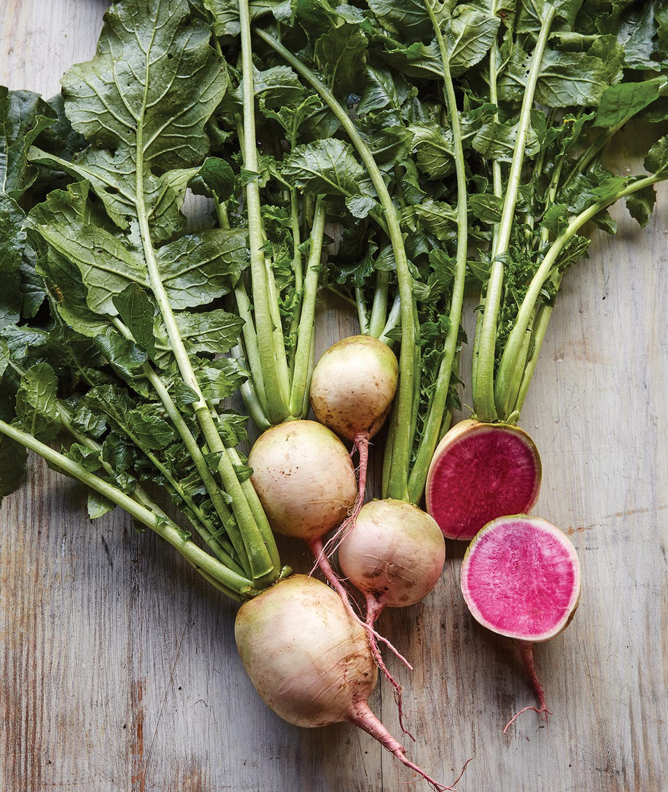 Burpee Watermelon Radish seeds packet for home gardeners, ideal for spring planting.