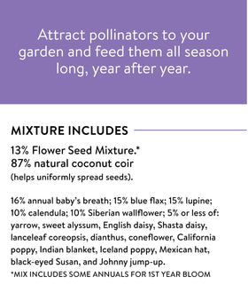 Burpee Wildflower covers up to 1,000 square feet in sunny beds.