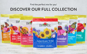 Burpee Wildflower pollinator garden idea image invites natural color and life