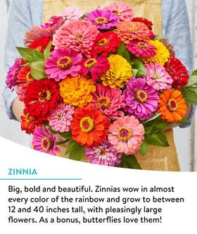 Burpee Wildflower Cutting Mix showing pink and red zinnias for vibrant bouquets.