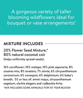 Tall blooms up to 6 feet from Burpee Cutting Mix for dramatic garden presence.