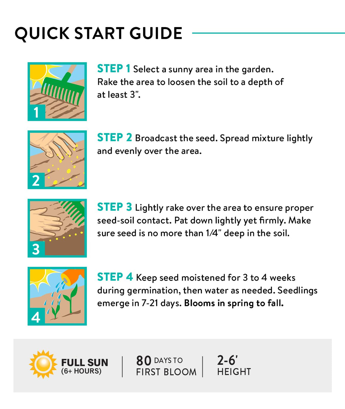 Planting guide image for Burpee Wildflower Cutting Mix in sunny borders.
