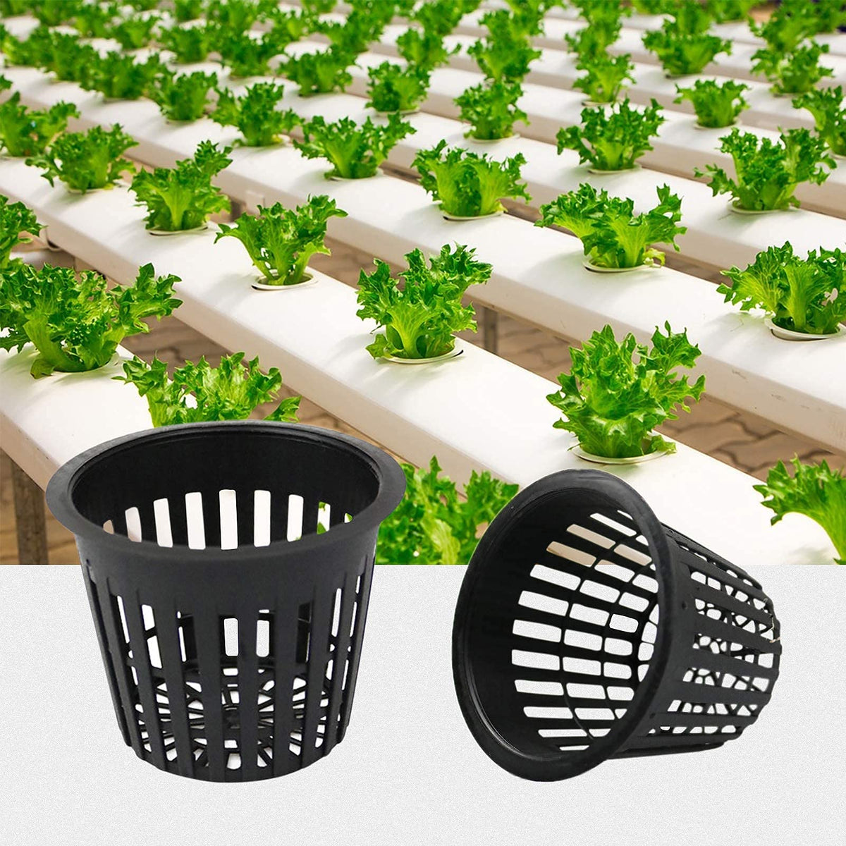Business King 3-inch mesh pot offers versatile options for starting plants.