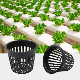 Business King 3-inch mesh pot offers versatile options for starting plants.