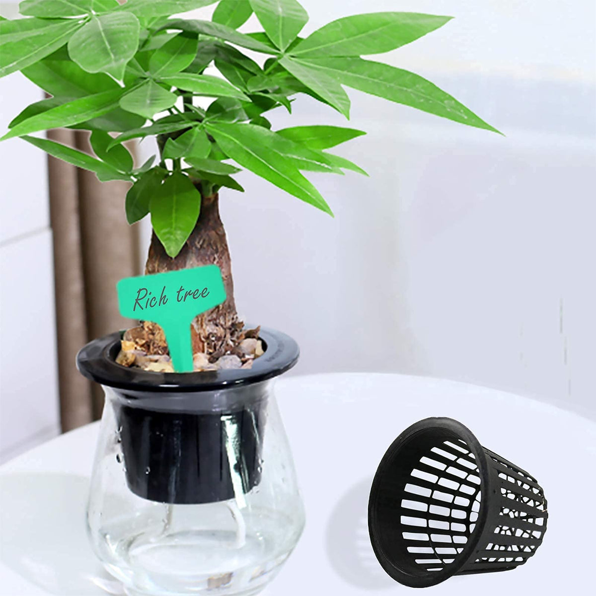 Business King net pots suit orchids, tomatoes, and peppers in hydroponics or soil.