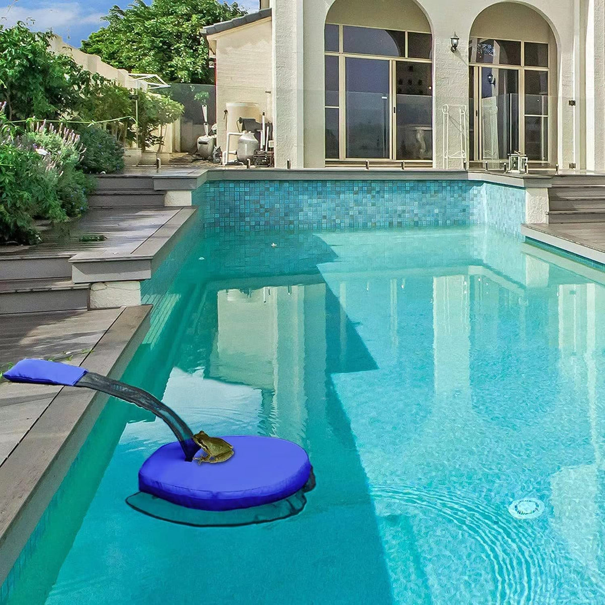 Busnacty critter-rescue-by-pool helps keep water cleaner and calmer for swimmers.