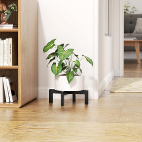bussdis metal plant riser for indoor/outdoor spaces with clean look.