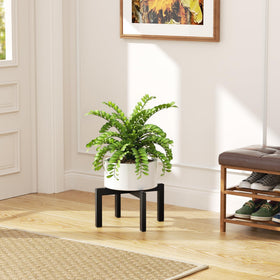 Bussdis plant stand side view shows 6in height for low-profile balance.