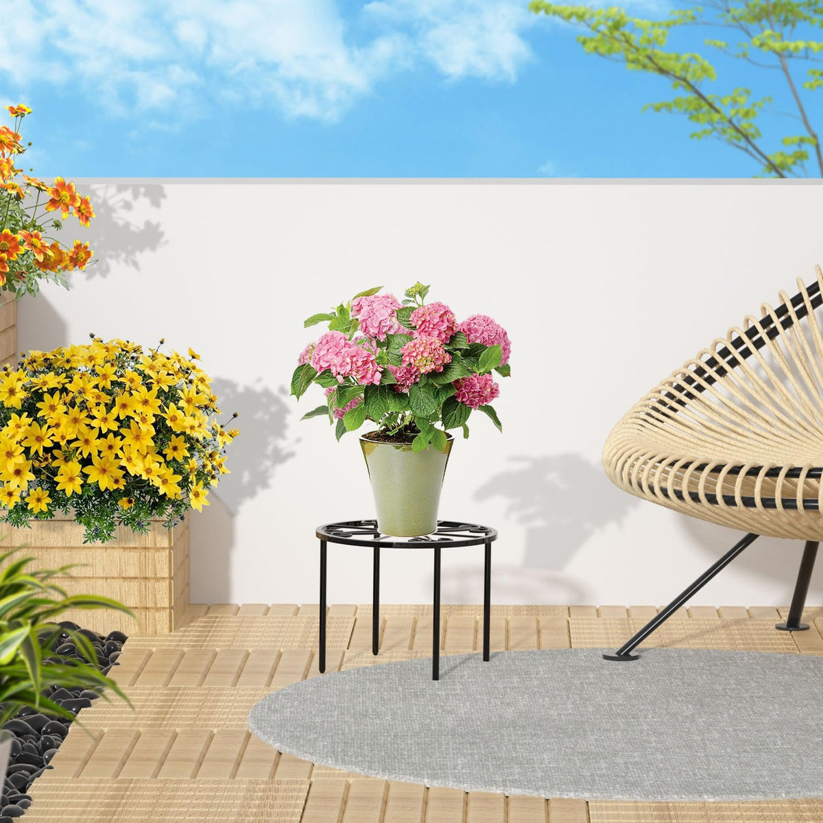 bussdis plant stand raised off ground improves airflow around roots