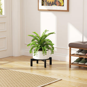 bussdis single pot stand with 11.6-inch base for balanced placement.
