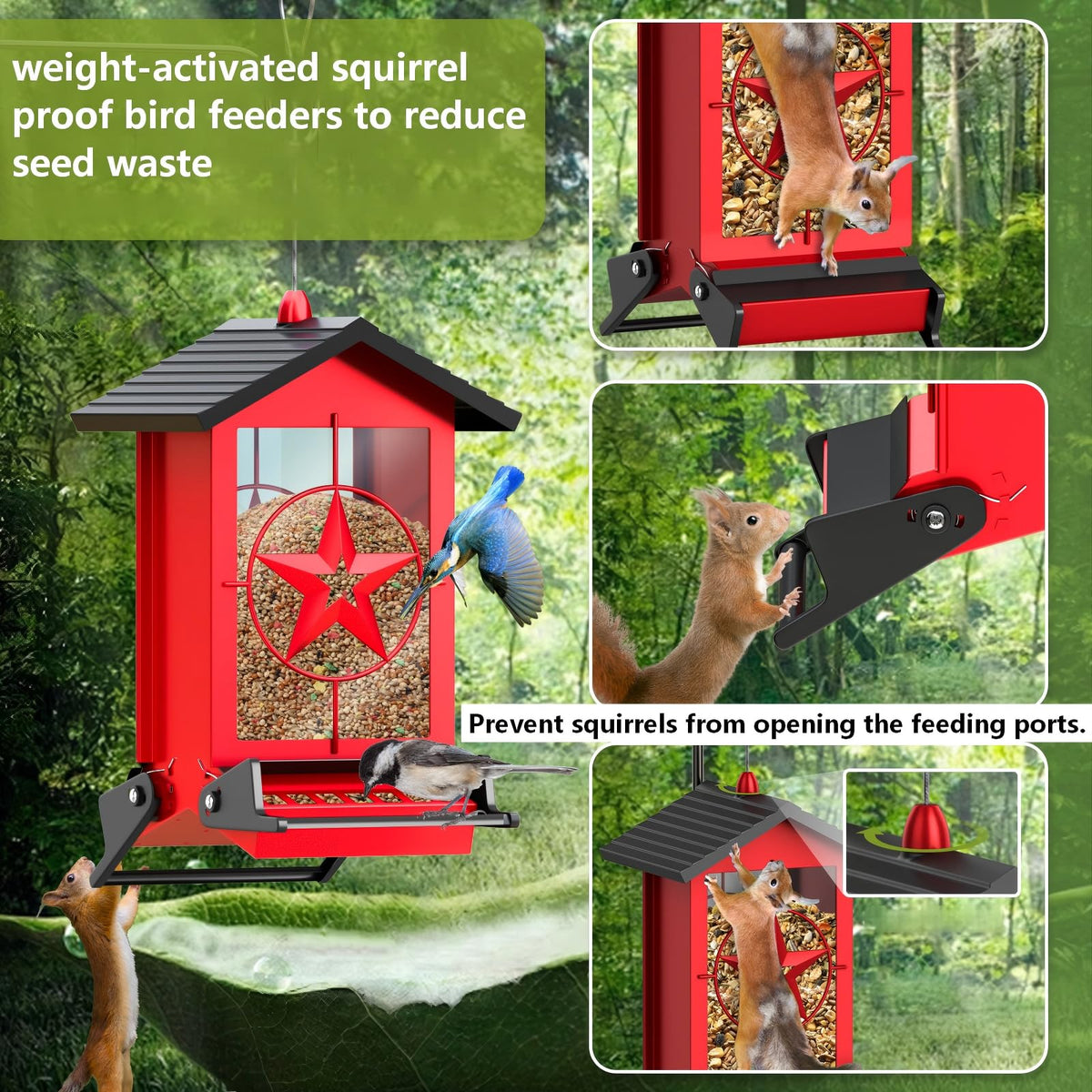 Buteafly 5lb-capacity feeder with seed window for easy monitoring