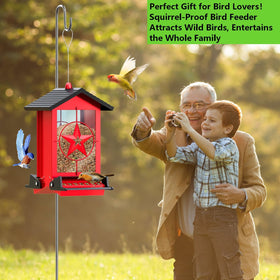 Buteafly red-bodied feeder with black roof adds decorative outdoor charm