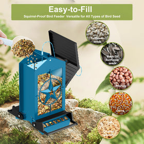Buteafly feeder 5 lb capacity with clear seed window