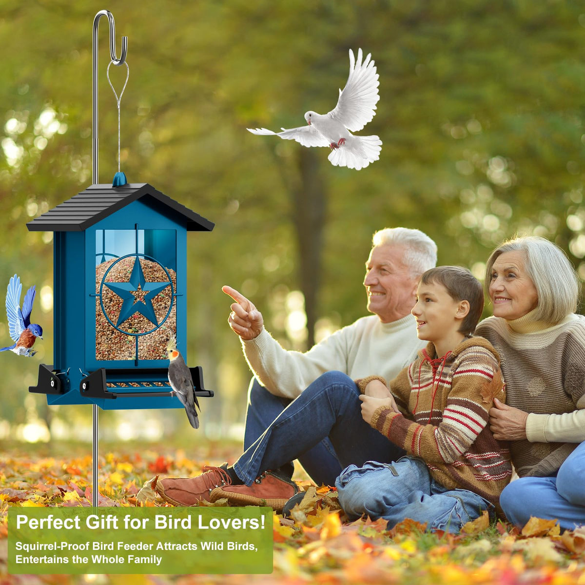 Buteafly feeder all-weather design resists rust and warping