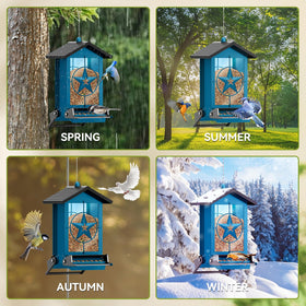 Buteafly feeder hanging backyard scene with visiting cardinals and blue jays