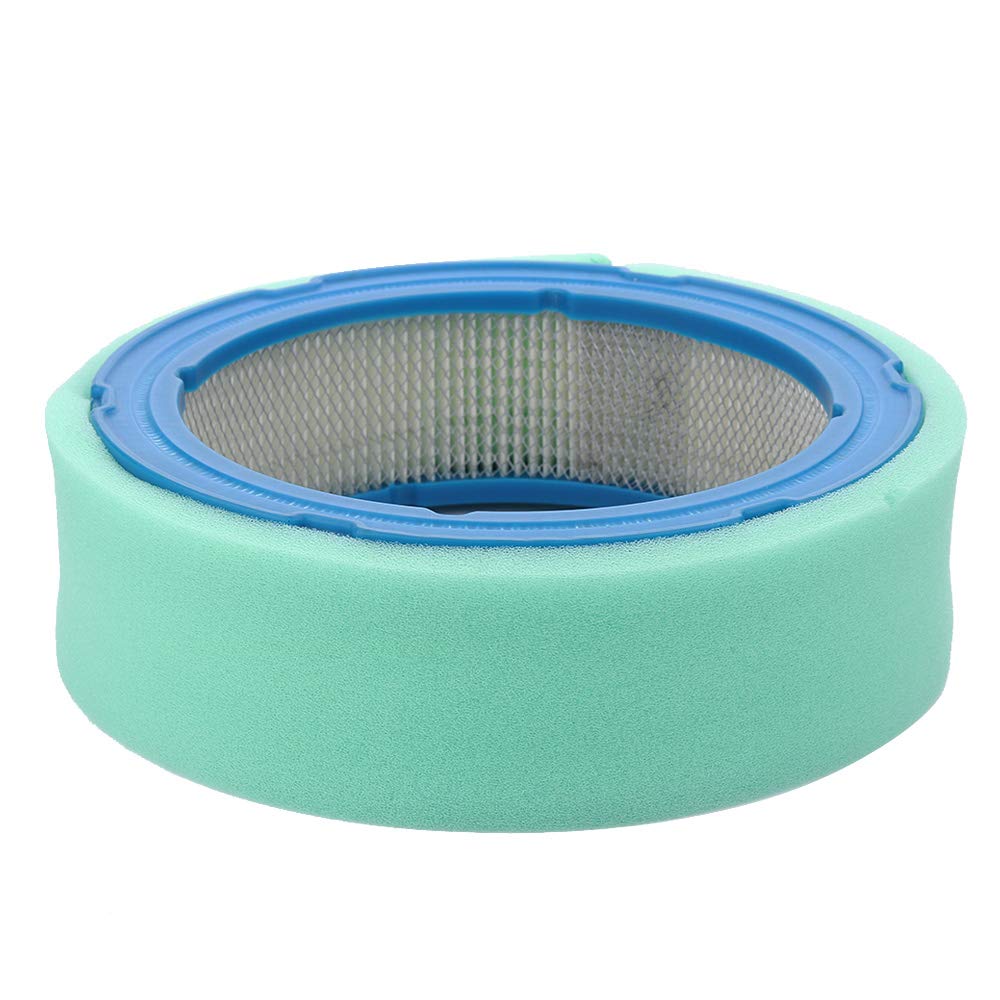 Butom 493629 fuel filter maintains clean fuel delivery.